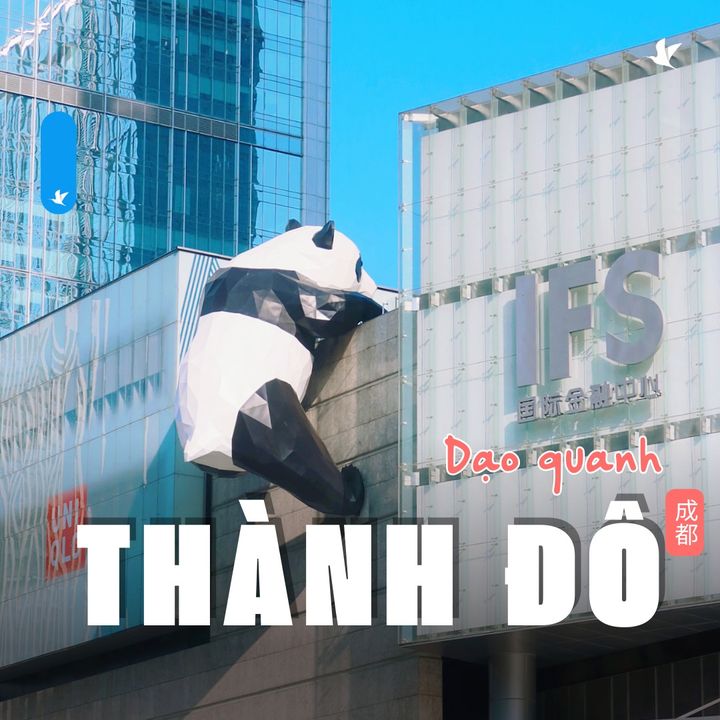 [✈🇻🇳] Traveloka Vietnam – Sống Trải Nghiệm ✈ Top1Travel 🌏 – 🐼 Dạo quanh Thành Đô trong buổi chiều nhẹ nhàng ~🍃💵 Sale lương về – Du l …