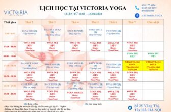 [🆕🇻🇳] Victoria Yoga -Trung tâm dạy Yoga thi đấu chuyên nghiệp 🤸🏻‍♀️ Victoria Yoga kính gửi quý học viên lịch tập tại trung tâm từ ngày 10/02 -16/02/2020.Chúc mọi người có một tuần tập luyện vui vẻ, hạnh phúc
———– , shares-0✔️ , likes-7❤️️ , date-2020-02-09 01:23:08🇻🇳🇻🇳🇻🇳📰🆕
