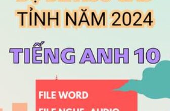 [🆕🇻🇳] Tailieu247.net – Chuyên tài liệu file word 📚 Top1Learn 📕 BỘ ĐỀ TỔNG HỢP HSG TIẾNG ANH 10 CÁC TỈNH NĂM 2024 ( File word, có nghe + lời giải chi tiết ) , shares-0✔️ , likes-2❤️️ , date-2024-10-28 18:27:21🇻🇳🇻🇳🇻🇳📰🆕