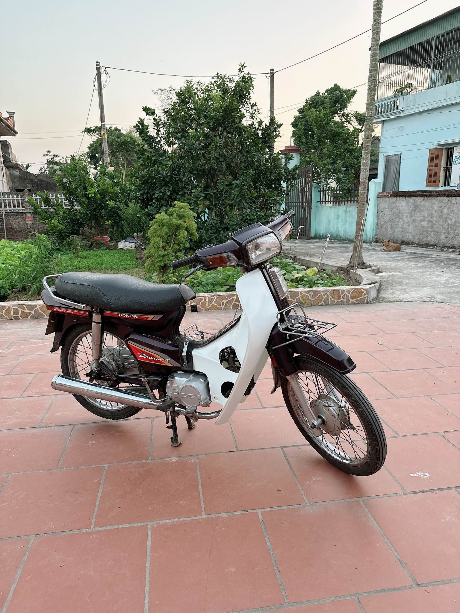 [🆕🇻🇳] Dutch Lady Vietnam  ♥️️ Top1Index 📚  Fristi – Với dưỡng chất từ sữa và vitamin thiết yếu A,B,D cho bé khỏe mỗi ngày. Fristi – Thỏa chí anh hùng nhí.
, shares-22✔️ , likes-841❤️️ , date-2024-10-30 18:22:35🇻🇳🇻🇳🇻🇳📰🆕