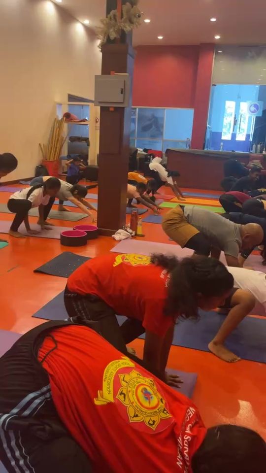 REFINED SILHOUETTE COLLECTION [🆕🇻🇳] jm.com.vn