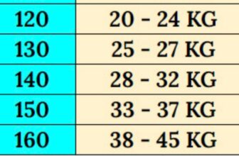 [🆕🇻🇳] Yoga – Fitness Đình Vinh – GYM – YOGA – ZUMBA – AEROBIC – MÚA CỔ TRANG – DANCE KID 🧘 Top1Yoga 🤸🏻‍♀️ LỚP CHUYÊN ĐỀ CHỦ NHẬT
8h30 -10h00 . Ngày 3/11/2024
Mở vai và lưng trên .
Đăng ký tập luyện cùng master Kartik nhé các bạn !
– – – – – – – – – – – – – , shares-0✔️ , likes-13❤️️ , date-2024-10-31 17:29:43🇻🇳🇻🇳🇻🇳📰🆕