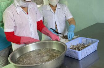 [🆕🇻🇳] Cua Cà Mau Anh Thái 🍔 Top1Food 🍜 CÁ CƠM LÀM SẠCH ĐỂ PHƠI BÁNH TRÁNG
Bánh tráng cá cơm phù hợp mọi bửa tiệc
, shares-13✔️ , likes-5❤️️ , date-2024-11-12 15:50:33🇻🇳🇻🇳🇻🇳📰🆕