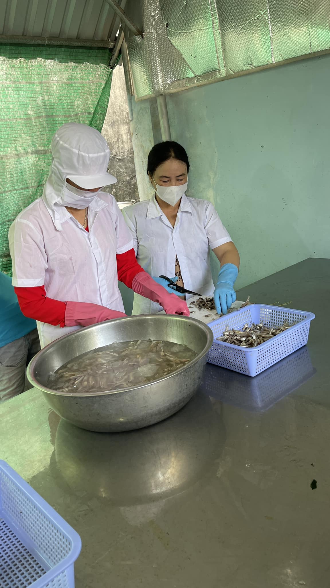 [🆕🇻🇳] Cua Cà Mau Anh Thái 🍔 Top1Food 🍜 CÁ CƠM LÀM SẠCH ĐỂ PHƠI BÁNH TRÁNG
 Bánh tráng cá cơm phù hợp mọi bửa tiệc
 , shares-13✔️ , likes-5❤️️ , date-2024-11-12 15:50:33🇻🇳🇻🇳🇻🇳📰🆕