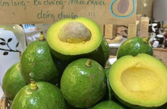 [☕️🇻🇳] 15.22 café – wine – live music 🥤 Top1Coffee ☕️ Hổm nay tụi mình có bán bơ cao nguyên, khách ăn phản hồi tích cực lắm, bơ chín vàng, ngon, dẻo mà rất là thơm luôn
Do trồng hỏn , shares-0✔️ , likes-11❤️️ , date-2024-10-29 16:16:10🇻🇳🇻🇳🇻🇳📰🆕