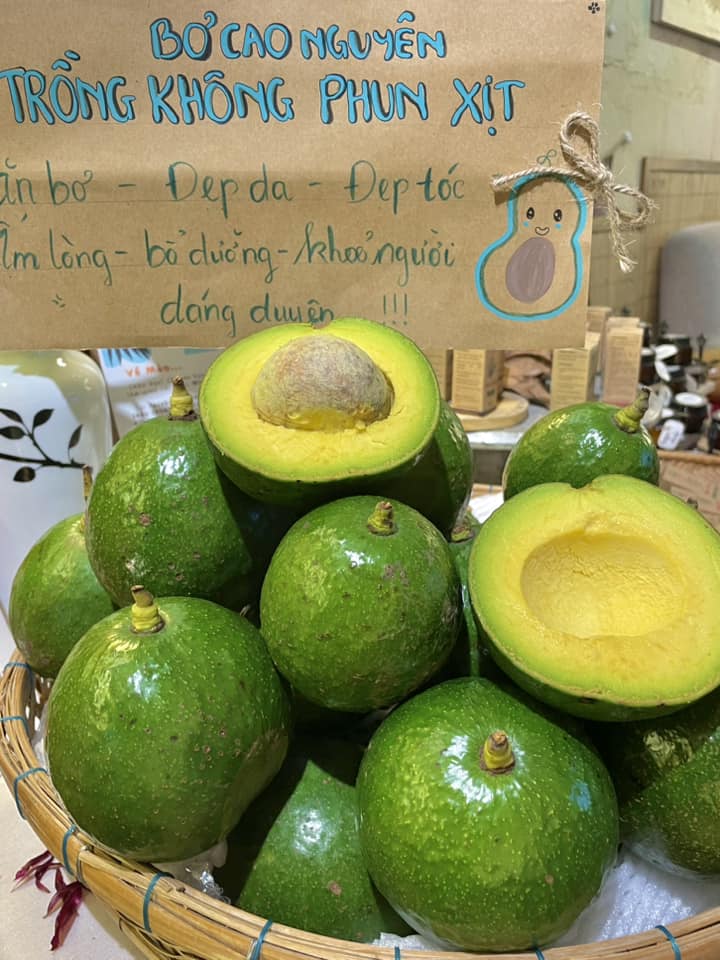 [☕️🇻🇳] Cà phê Ngọc Hà- Cafe sân vườn 🥤 Top1Coffee ☕️ Chút không khí đáng yêu cho mùa Hallowen tại Cà Phê Ngọc Hà 
 ———————————————
 Cà Phê Ngọc Hà
 271 Phạm Văn Đồng – Hòa Thành –   , shares-0✔️ , likes-0❤️️ , date-2024-10-30 02:31:53🇻🇳🇻🇳🇻🇳📰🆕