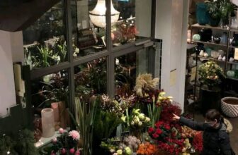 [🆕🇻🇳]  Mom And Kid Store – Thời Trang Cho Mẹ Và Bé 🧑‍🧒❤️️👶⭐️ Kho em xả hàng
Link dưới cmt
, shares-0✔️ , likes-1❤️️ , date-2024-01-21 16:05:01🇻🇳🇻🇳🇻🇳📰🆕