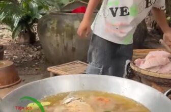 [🆕🇻🇳] Lá Cọ Beach Flamingo – Nhà Hàng Hải Sản Quảng Bình 🍔 Top1Food  🍜 Em bé nấu ăn cực khéo
, shares-1✔️ , likes-38❤️️ , date-2024-10-30 07:40:03🇻🇳🇻🇳🇻🇳📰🆕