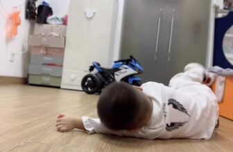 [🆕🇻🇳] Tuệ Linh (Lyn C Shop) – Đào tạo tài năng nhí – Bầu Show sự kiện 😎❤️️⭐️ Top1Kids 😎❤️️⭐️ Các e bé khác đã ngủ ngon giấc          E bé nhà này vẫn à thế làm sao  Nghèo nhưng sĩ bọ rởm lắm cơ
, shares-0✔️ , likes-21❤️️ , date-2024-11-15 06:23:06🇻🇳🇻🇳🇻🇳📰🆕