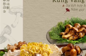 [🆕🇻🇳] ASHIMA MUSHROOM HOTPOT là chuỗi nhà hàng LẨU NẤM THIÊN NHIÊN 🍔 Top1Food 🍜 [HN] 𝑺𝒆𝒕 𝑻𝒐̂𝒎 𝒉𝒖̀𝒎 𝒉𝒂̉𝒐 𝒉𝒂̣𝒏𝒈 & 𝑺𝒆𝒕 𝑪𝒂́ 𝒕𝒂̂̀𝒎Mùa mới, thức mới, vừa vặn “Rừng vàng Biển bạc”.Trong hành trình tìm kiếm sự hoàn hảo cho thực khách, Ashi , shares-0✔️ , likes-6❤️️ , date-2024-11-01 17:30:06🇻🇳🇻🇳🇻🇳📰🆕