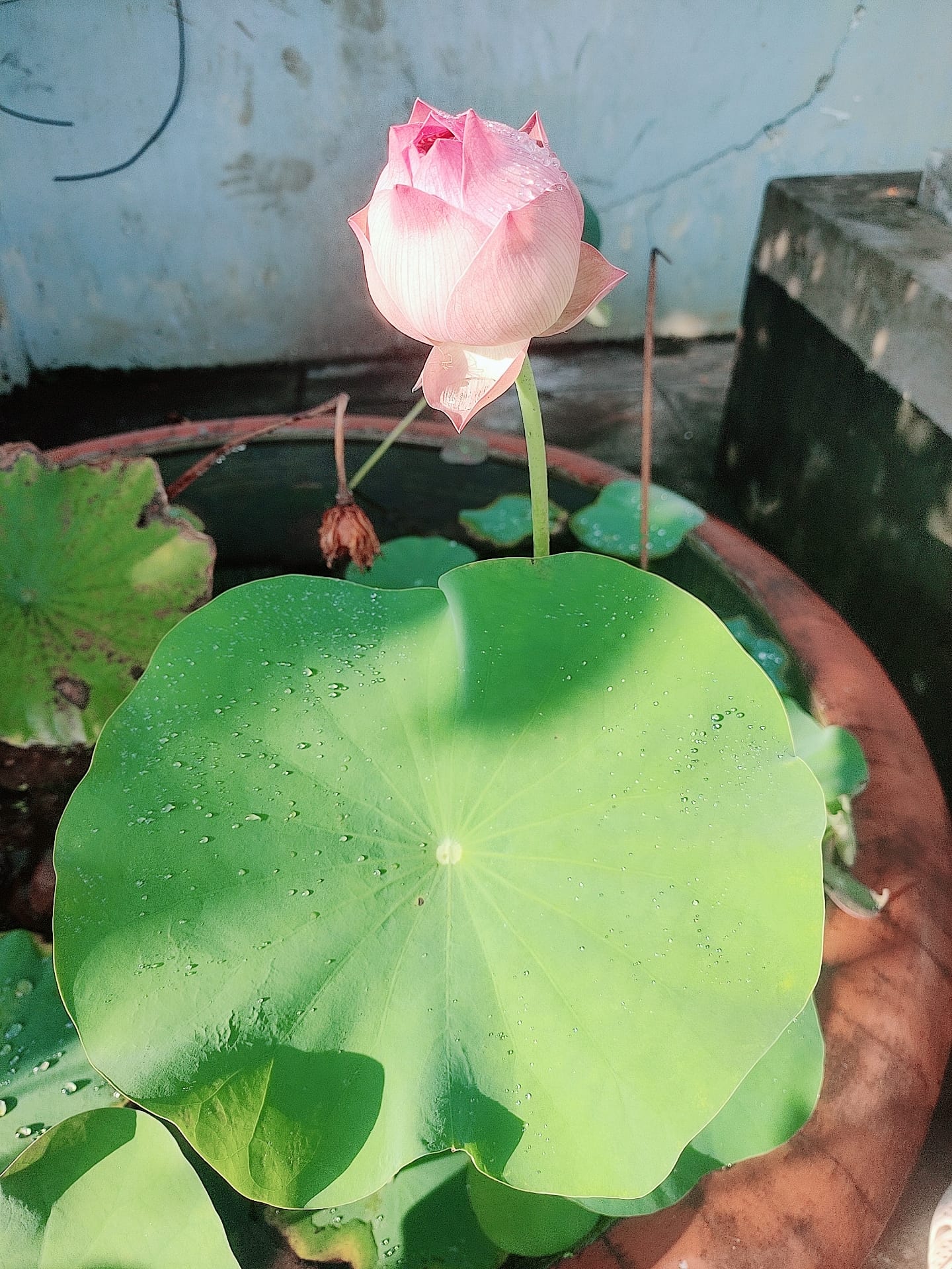 [☕️🇻🇳] D.O.M- Coffee Capsule 🥤 Top1Coffee ☕️ Tháng 11 sang là một năm nữa sắp kết thúc…2024 đang bước tới những chặng đường cuối cùng với không khí dần thay đổi. Trong n , shares-0✔️ , likes-2❤️️ , date-2024-11-04 00:02:57🇻🇳🇻🇳🇻🇳📰🆕