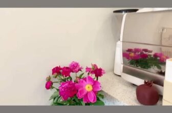 [☕️🇻🇳] A Room Café – Quán cà phê 🥤 Top1Coffee ☕️ Enjoy your day with some sugary, shares-0✔️ , likes-0❤️️ , date-2022-06-09 15:40:11🇻🇳🇻🇳🇻🇳📰🆕