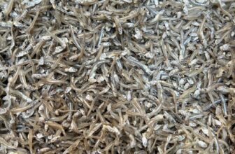 [???] Shiro Shop – by Korea ?‍?❤️️?⭐️ Cá Cơm Tường An chuyên cung cấp khô cá cơm các loại dùng cho sỉ chợ, xuất khẩu, bếp ăn công nghiệp.Size 2-3 : Gía chỉ 7xLiên hệ : 0938728072
Sài Gò , shares-0✔️ , likes-0❤️️ , date-2024-11-16 20:35:53????????