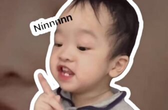 [🆕🇻🇳] Emily Jane – Váy đầm công chúa thiết kế cho bé 🧑‍🧒❤️️👶⭐️ Nínnnnnnn rồi #mẹ m.ua đồ đẹp cho nhaaaaa
, shares-1✔️ , likes-7❤️️ , date-2024-11-01 17:20:01🇻🇳🇻🇳🇻🇳📰🆕