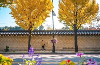 [🆕🇻🇳] Checkin và Du lịch Hàn Quốc – Korea Travel ♥️️ Top1Checkin ☑  Thu Seoul đẹp như vậy, thử hỏi sao mà không mê được đây  #FocusAsiaTravel #Focus_Asia_Travel #dulichhanquoc #visahanquoc
, shares-0✔️ , likes-16❤️️ , date-2024-11-02 01:01:22🇻🇳🇻🇳🇻🇳📰🆕