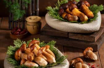 [🆕🇻🇳] ASHIMA MUSHROOM HOTPOT là chuỗi nhà hàng LẨU NẤM THIÊN NHIÊN 🍔 Top1Food 🍜 𝑳𝒐̛̀𝒊 𝒕𝒖̛̣ 𝒕𝒊̀𝒏𝒉 𝒄𝒖̉𝒂 𝑵𝒂̂́𝒎 – 𝒎𝒐́𝒏 𝒒𝒖𝒂̀ 𝒕𝒖̛̀ 𝒏𝒉𝒊𝒆̂𝒏 𝒏𝒉𝒊𝒆̂𝒏Chúng ta thường hay nghe nói với nhau “Hãy lắng nghe những thanh âm của cuộc sống”, bởi vì đơn  , shares-1✔️ , likes-84❤️️ , date-2024-10-30 17:33:53🇻🇳🇻🇳🇻🇳📰🆕