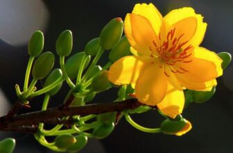 [🆕🇻🇳]  RainBow Design – Thế giới sơ mi cho các hoàng tử nhỏ <3 😎❤️️⭐️ Ba Mẹ đã bỏ lỡ điều gì, trong năm vừa qua…
, shares-1✔️ , likes-7❤️️ , date-2024-10-30 16:48:59🇻🇳🇻🇳🇻🇳📰🆕