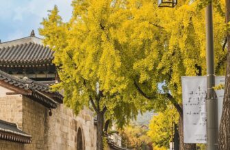 [🆕🇻🇳] Checkin và Du lịch Hàn Quốc – Korea Travel ♥️️ Top1Checkin ☑  Dạo chơi thảnh thơi dọc theo con đường tường đá của Cung điện Gyeongbokgung
Đối với những du khách yêu thích văn hóa Hàn Quốc thì cung điện Gyeongbokgung  , shares-0✔️ , likes-18❤️️ , date-2024-10-31 23:50:03🇻🇳🇻🇳🇻🇳📰🆕