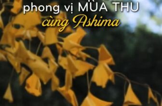 [🆕🇻🇳] ASHIMA MUSHROOM HOTPOT là chuỗi nhà hàng LẨU NẤM THIÊN NHIÊN 🍔 Top1Food 🍜 [Miền Nam] Khám phá phong vị mùa thu tại Ashima với Combo Tuyết Hải thuộc menu Khơi Vị Sắc Thu, đặc biệt mỹ vị mới lần đầu xuất hiện. Thương mời bạn ghé As , shares-0✔️ , likes-0❤️️ , date-2024-10-28 23:31:55🇻🇳🇻🇳🇻🇳📰🆕