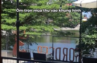 [☕️🇻🇳] ForDeer – Coffee with tree 🥤 Top1Coffee ☕️ Gió thổi đủ nhẹ, nắng đủ vàng, Hà Nội mùa này sao mà khiến con người ta xuýt xoa lưu luyến… #reels #fordeercoffee
, shares-0✔️ , likes-0❤️️ , date-2024-10-26 15:09:06🇻🇳🇻🇳🇻🇳📰🆕