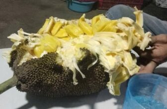 [☕️🇻🇳] Cà phê Ngọc Hà- Cafe sân vườn 🥤 Top1Coffee ☕️ Những người theo dõi mới nhất của tôi ơi, chào mừng các bạn đã gia nhập nhé! Ngọc Hà, Mỹ Huyền, Lê Tuyền, Xuân Khưu, Võ Phương B , shares-0✔️ , likes-0❤️️ , date-2024-09-18 21:31:01🇻🇳🇻🇳🇻🇳📰🆕