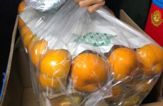 [🆕🇻🇳]  Đậu – Kids & Mom – thời trang thiết kế mẹ và bé 🧑‍🧒❤️️👶⭐️ Bên e về công Hồng
Hồng cô gái 12kg -160k
Hồng mật rổ 12kg -180k
Hồng mật bọc lưới 300kHàng tại chợ đầu mối thủ Đức
0938836310
E gui đi tất cả các tỉ , shares-0✔️ , likes-0❤️️ , date-2024-11-24 09:41:13🇻🇳🇻🇳🇻🇳📰🆕