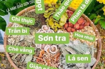 [🆕🇻🇳] HM for Kids – Hàng xách tay Trẻ em 🧑‍🧒❤️️👶⭐️  Đẹp quá ,đẹp quá các mom ơi. Set công tử bé
Salesale 199k / set . còn duy nhất sz 1,5/2y
Nhanh tay lên bil thôi .
#hmkidauthentic , shares-1✔️ , likes-3❤️️ , date-2024-10-19 21:46:56🇻🇳🇻🇳🇻🇳📰🆕