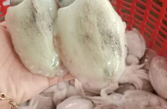 [🆕🇻🇳] Cẩm Vân Nguyễn – Thời trang cho bé yêu 🧑‍🧒❤️️👶⭐️ Không đủ trả
Đâu rồi các mẹ thông thái, đừng đợi gió mùa lạnh về mới cuống cuồng đi tìm bộ nỉ ấm cho con #bonichobe
, shares-0✔️ , likes-0❤️️ , date-2024-11-24 16:12:32🇻🇳🇻🇳🇻🇳📰🆕