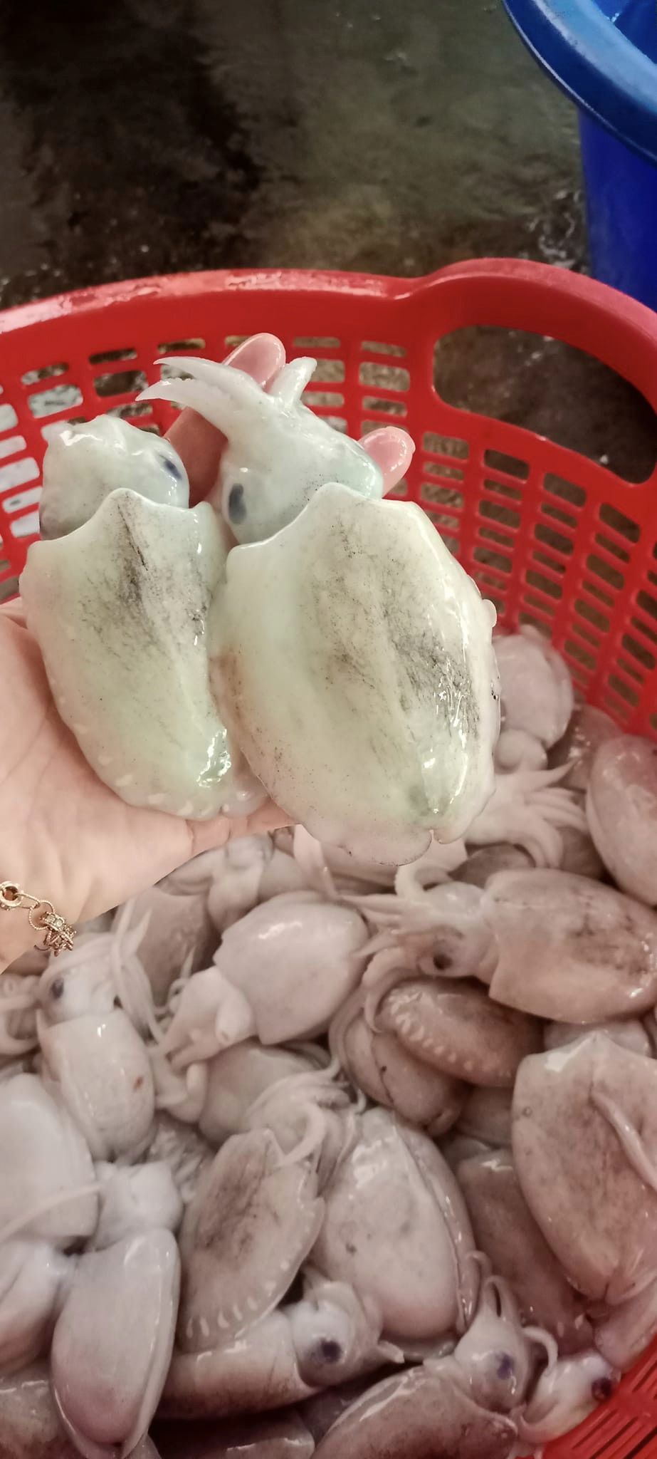 [🆕🇻🇳] EMBES là thương hiệu thời trang “Việt made” chất lượng cao dành cho trẻ em 🧑‍🧒❤️️👶⭐️ Hiện nay trên thị trường có nhiều nguồn hàng làm nhái lại hàng bên Embes. Embes không muốn các mẹ gặp phải trường hợp mua nhầm hàng kém chất lượng, không đ , shares-0✔️ , likes-0❤️️ , date-2024-10-29 22:05:44🇻🇳🇻🇳🇻🇳📰🆕