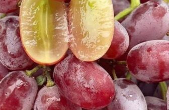 [🆕🇻🇳] Tài Liệu Giảng Dạy – Chuyên đề, đề thi thử tốt nghiệp, giáo án, đề thi-kiểm tra 📚 Top1Learn 📕 ĐỀ PHÁT TRIỂN MINH HỌA NĂM 2024
MÔN HÓA
Đề chuẩn cấu trúc BGD – Ma Trận-Hướng dẫn giải- file word
Chi tiết dưới comment
, shares-3✔️ , likes-4❤️️ , date-2024-03-27 21:30:37🇻🇳🇻🇳🇻🇳📰🆕