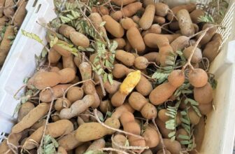 [☕️🇻🇳] Coffee Bùi Văn Ngọ – Chuỗi Cà Phê thuộc công ty Bùi Văn Ngọ Food 🥤 Top1Coffee ☕️ Bạn có biết chỉ cần lên NOW, GRAB, hay GOVIET là có thể đặt ngay cho mình món uống “tỉnh ngủ” giao đến tận nhà cho buổi trưa hè này?Bùi Văn Ngọ Cofee luô , shares-0✔️ , likes-4❤️️ , date-2020-07-17 21:24:57🇻🇳🇻🇳🇻🇳📰🆕