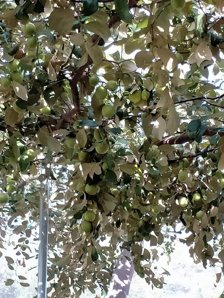 [☕️🇻🇳] Blank Lounge 🥤 Top1Coffee ☕️  Blank Lounge. Highest sky lounge in Vietnam.
, shares-0✔️ , likes-9❤️️ , date-2024-10-01 17:08:25🇻🇳🇻🇳🇻🇳📰🆕