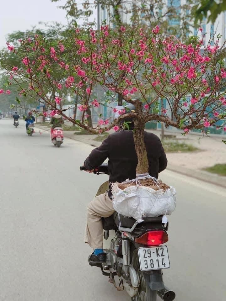 [🆕🇻🇳] Ba Thức Food chuyên cung cấp Sỉ & Lẻ các sản phẩm đặc sản ngon của vùng miền, đặc biệt là khô bò TN 🍔 Top1Food  🍜 Thân em vừa thấm lại vừa mềm
Thơm, ngọt, cay vừa, đúng phần nêm
Nếu có bạn hiền, xin chầu n.hậu
Hết sảy s.ay sưa, trước cửa thềm
#bathucfood #khobobathuc # , shares-0✔️ , likes-4❤️️ , date-2024-11-26 17:42:04🇻🇳🇻🇳🇻🇳📰🆕