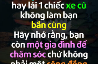 [🆕🇻🇳]  Queen fashion (Hàng fake tàu) – Hàng giá rẻ trung quốc 🧑‍🧒❤️️👶⭐️  , shares-78✔️ , likes-359❤️️ , date-2023-11-01 16:03:28🇻🇳🇻🇳🇻🇳📰🆕