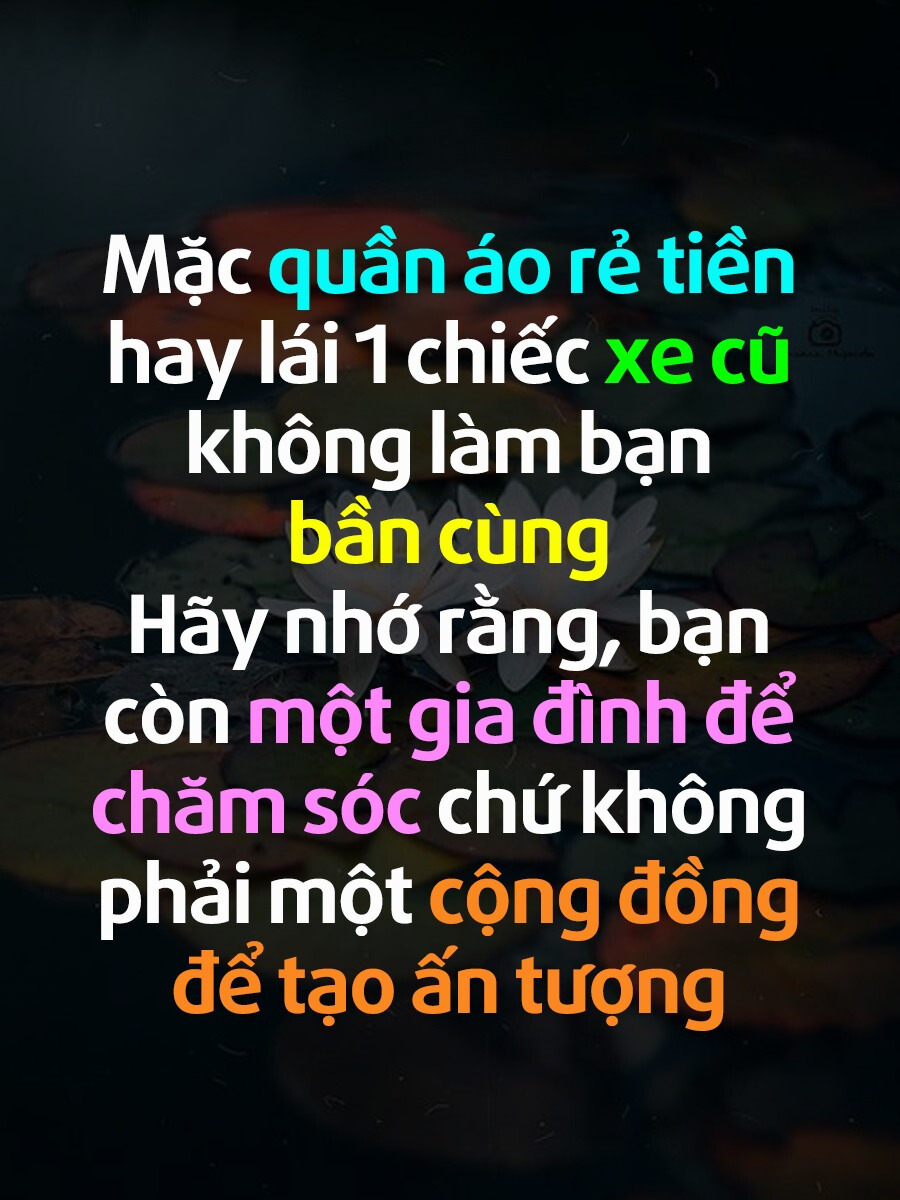 [🆕🇻🇳]  Queen fashion (Hàng fake tàu) – Hàng giá rẻ trung quốc 🧑‍🧒❤️️👶⭐️  , shares-78✔️ , likes-359❤️️ , date-2023-11-01 16:03:28🇻🇳🇻🇳🇻🇳📰🆕