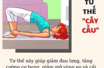 [???] Yoga Hương Sen  ? Top1Yoga ??‍♀️ CÓ THỂ BẠN CHƯA BIẾT!
 Những lợi ích của một số động tác Yoga
CÓ THỂ BẠN CHƯA BIẾT!
 , shares-0✔️ , likes-1❤️️ , date-2021-04-19 04:09:13????????