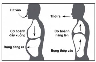 [???] Yoga Hương Sen  ? Top1Yoga ??‍♀️  Những điều cần biết về thở cơ hoành
Định nghĩa phương pháp thở cơ hoành
Cơ hoành là một cơ lớn nằm ở đáy phổi. Khi hít vào, cơ hoành co lại và di chuyển x , shares-0✔️ , likes-1❤️️ , date-2021-05-06 19:24:54????????