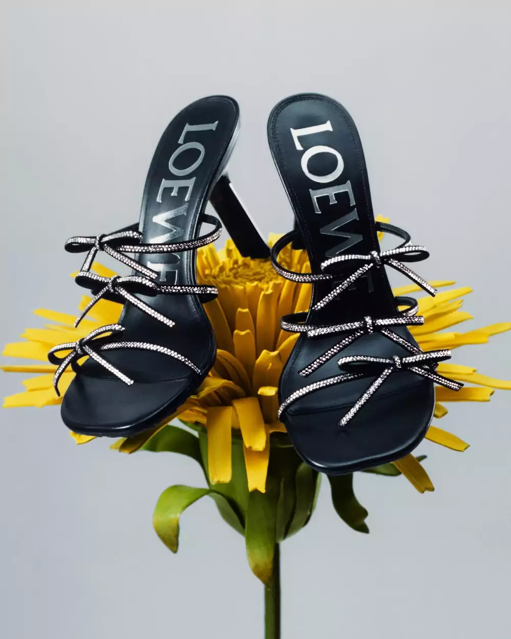 [🛒🇻🇳]Loewe SS25 Suna Fujita – Tamson – , SKU – – tamsonvn.com 🇻🇳🛒Top1Shop🛒 🇻🇳Top1Vietnam🇻🇳 🛍🛒🇻🇳