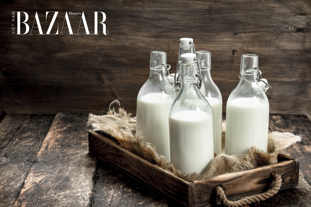 Sữa bò và các sản phẩm từ sữa