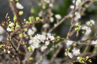 [🆕🇻🇳] Yoga Sức Sống Mới 🧘 Top1Yoga 🧘 THÔNG BÁO LỊCH NGHỈ TẾT DƯƠNG LỊCH 2023Kính gởi Quý học viên,Hưởng ứng toàn thế giới đón chào năm mới 2023, trung tâm Yoga Sức Sống Mới sẽ đóng cửa từ  , shares-0✔️ , likes-23❤️️ , date-2022-12-28 02:19:29🇻🇳🇻🇳🇻🇳📰🆕