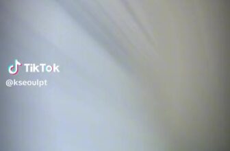 [🆕🇻🇳] KSeoul Kids – Cửa hàng quần áo trẻ em 🧑‍🧒❤️️👶⭐️ Hàng sẵn ạ
, shares-0✔️ , likes-0❤️️ , date-2023-08-16 17:53:15🇻🇳🇻🇳🇻🇳📰🆕