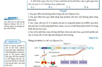 [🆕🇻🇳] Nhà sách giáo dục Lovebook  📚 Top1Book 📖 Tài liệu Sinh này chắc nhiều em chưa hề biết phải không?
– Em chưa biết, Lovebook tặng em
– Em biết rồi, em có rồi ạ
, shares-3✔️ , likes-67❤️️ , date-2023-11-06 19:13:45🇻🇳🇻🇳🇻🇳📰🆕📚