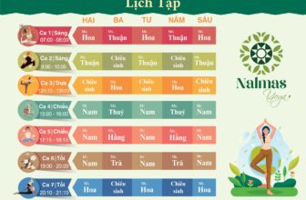 [???] Nalmas Yoga – Phòng tập yoga ? Top1Yoga ??‍♀️ – Lịch tập mới nhất tại Nalmas Yoga Tháng 05
– Nalmas Yoga vẫn đang tiếp tục chiêu sinh các lớp Yoga căn bản dành cho người mới tập, chưa tập Yoga lần nào, , shares-0✔️ , likes-5❤️️ , date-2024-05-06 01:04:13????????