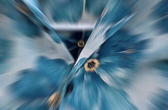 [🆕🇻🇳] Misa Baby – Chuyên sỉ & lẻ QATE 🧑‍🧒❤️️👶⭐️ Hè về lụa lên ngôi ạ  Áo lẻ #145k/1 áo  Nguyên bộ #295k/1 bộ  Full size 10-53kg www.tiktok.com/@misa_baby
, shares-2✔️ , likes-190❤️️ , date-2024-07-11 01:48:27🇻🇳🇻🇳🇻🇳📰🆕