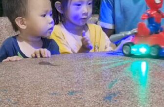 [🧸️🇻🇳] ZuZu – Đồ chơi trẻ em TP.HCM 🎈Top1Toys🧸️  Đèn trung thu 2024 spiderman đèn lồng người nhện #trungthu2024 #dentrungthu
, shares-0✔️ , likes-0❤️️ , date-2024-07-11 17:21:08🇻🇳🇻🇳🇻🇳📰🆕