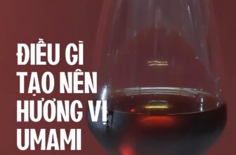 [☕️🇻🇳] ACID8 Specialty Coffee 🥤 Top1Coffee ☕️ UMAMI MOCKTAIL – CẦU KỲ VÀ KHÓ ĐOÁNẤn tượng đầu tiên của bạn về Umami Mocktail là gì?Umami Mocktail – một thức uống thoáng n , shares-1✔️ , likes-15❤️️ , date-2024-06-17 04:00:47🇻🇳🇻🇳🇻🇳📰🆕