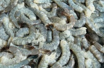 [🆕🇻🇳] Cô Ba Tasty 🍔 Top1Food 🍜 Tôm về sáng 4h.. mn tranh thủ bóc vỏ vẫn còn tươi xanh
Chuẩn bị mẻ tôm sấy mới cho khách đây ạ
, shares-0✔️ , likes-5❤️️ , date-2024-08-16 15:30:12🇻🇳🇻🇳🇻🇳📰🆕