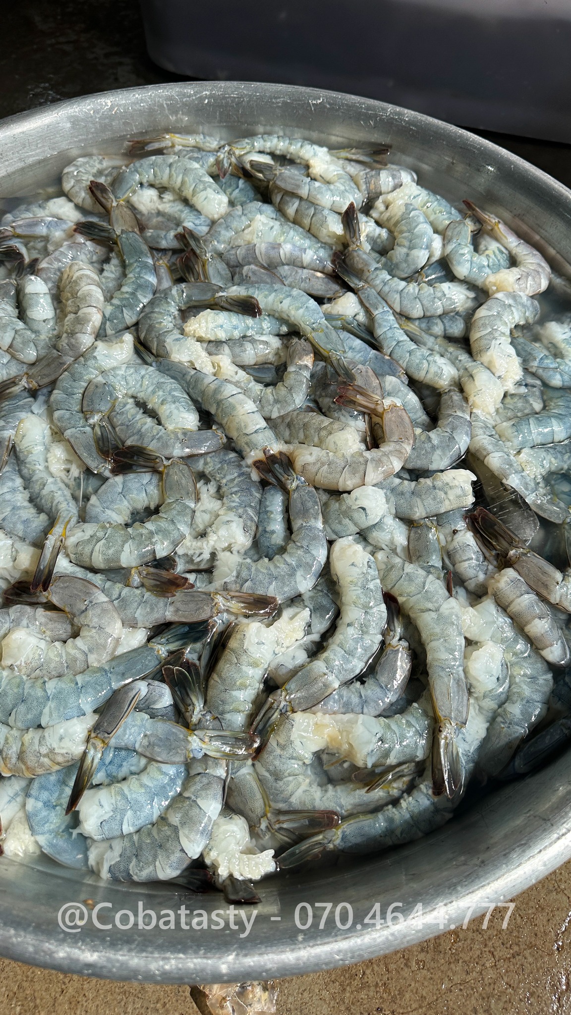 [🆕🇻🇳] Cô Ba Tasty 🍔 Top1Food 🍜 Tôm về sáng 4h.. mn tranh thủ bóc vỏ vẫn còn tươi xanh
 Chuẩn bị mẻ tôm sấy mới cho khách đây ạ 
 , shares-0✔️ , likes-5❤️️ , date-2024-08-16 15:30:12🇻🇳🇻🇳🇻🇳📰🆕