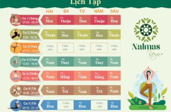 [???] Nalmas Yoga – Phòng tập yoga ? Top1Yoga ??‍♀️ Nalmas Yoga cập nhật lịch tập mới nhất trong tháng 8 này.
, shares-0✔️ , likes-3❤️️ , date-2024-08-15 18:37:18????????