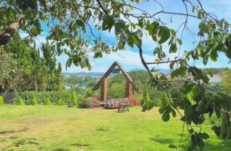 [☕️🇻🇳] Ngày của Nắng Coffee+ 🥤 Top1Coffee ☕️ Nhắm mắt một cái là gần hết mùa Hè. #dalat
, shares-0✔️ , likes-0❤️️ , date-2024-08-18 22:16:33🇻🇳🇻🇳🇻🇳📰🆕